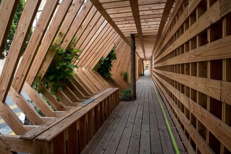 Gallery of Oscillation / Atelier Vecteur - 25 Modern Wood Architecture, Pergola Designs Architecture, Pergola Architecture, Tunnel Installation, Front Walkway Landscaping, Bohemian Apartment Decor, Banaue, Nantes France, Timber Architecture