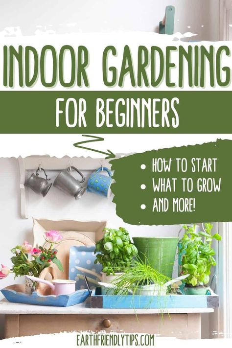 Garden For Beginners, Indoor Vegetables, Herb Garden In Kitchen, Inside Garden, Aquaponic Gardening, Indoor Vegetable Gardening, Indoor Gardens, Indoor Gardening, Food Garden