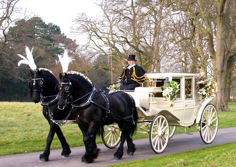 KRM Horse Drawn Carriages, wedding carriages, yorkshire Horse And Carriage Wedding, Equestrian Wedding, Horse Drawn Carriage, Wedding Carriage, Carriage Driving, Horse Wedding, Wedding Transportation, Horse And Carriage, Friesian Horse