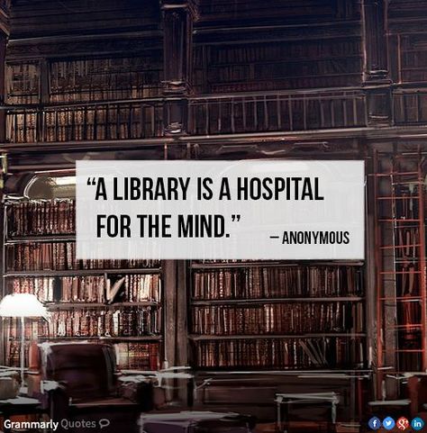 When In Doubt | janeaustenrunsmylife Lots Of Books, Library Quotes, Book Nook, World Of Books, Reading Quotes, Book Memes, Book Addict, Book Nooks, Library Books