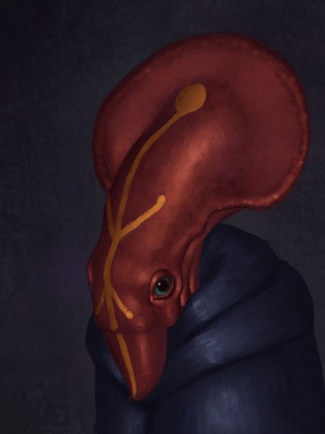 Squid Humanoid, Squid Character Design, Squid Alien, Vampire Squid, Octopus Squid, Alien Concept, Alien Concept Art, Human Male, Fantasy Races