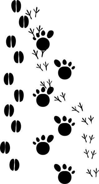 Animal Prints Clip Art Nature Preschool, Animal Footprints, Animals Party, Animal Tracks, Printable Animals, Safari Jungle, Jungle Party, Camping Theme, Disney Coloring Pages