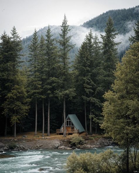 Forest Whispers Cabin Photography, Uni Motivation, Woodsy Cabin, Cabin Forest, Cabin Woods, Cabin Aesthetic, Cabin Core, Forest Cabin, Cozy Cabin