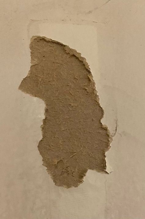 How to fix ripped paper in drywall? | Bunnings Workshop community Fixing Drywall Cracks, Fix Drywall Damage, Fixing Drywall Damage, How To Repair Torn Drywall Paper, How To Fix Drywall Damage, Antique Makeover, Fixing Drywall, Water Damaged Ceiling, Peeling Wall