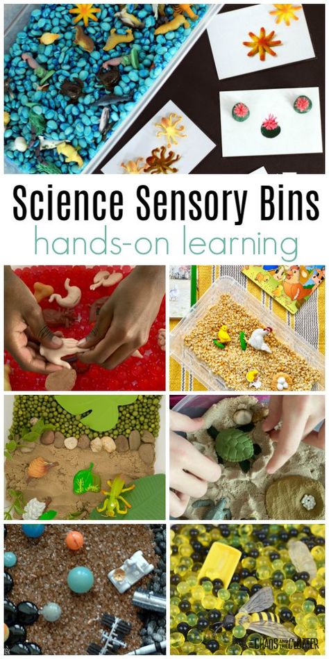 Increase your child's interest and retention with these Science Sensory Bins. They are a great addition to a unit study and good opportunity for hands-on learning. #science #homeschooling #teaching #sensoryplay Science Sensory Bins Preschool, Second Grade Sensory Bins, 2nd Grade Sensory Bins, Stem Sensory Bins, Science Sensory Bin, Ocean Science Activities, Earth Science Projects, Sensory Tables, Preschool Sensory