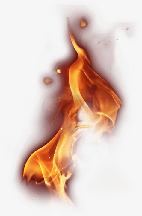 Fire Png, Fire Vector, Photo Elements, Flame Tattoos, Fire Image, Flame Art, Fire Tattoo, Art Basics, Fire Art