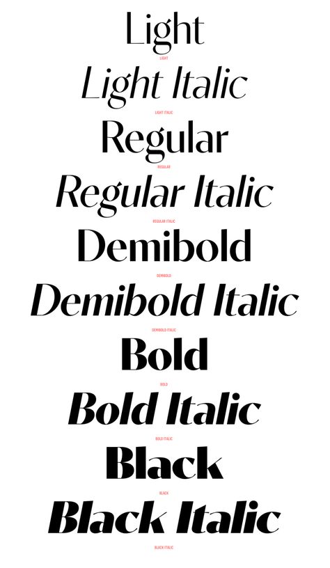 Thick Sans Serif Fonts, Classic Sans Serif Fonts, Elegant Sans Serif Font, Geometric Sans Serif Font, High Contrast Serif Font, Italic Font, Elegant Font, Sans Serif Fonts, Serif Font