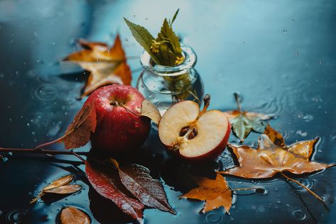 Autumn Rain, Still Life Photos, Still Life Photographers, Make It Rain, Photoshop Overlays, Cool Poses, Still Life Art, Creative Photos, Colorful Leaves