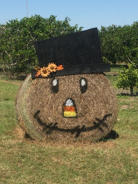 Mr. Scarecrow from a round hay bale. Round Bail Decoration, Round Bales Of Hay Decor, Haybale Christmas Ideas, Scarecrow Hay Bale, Hay Bale Halloween, Hay Bale Decorating Ideas, Decorated Hay Bales, Hay Bale Fall Decor, Hay Bale Decor