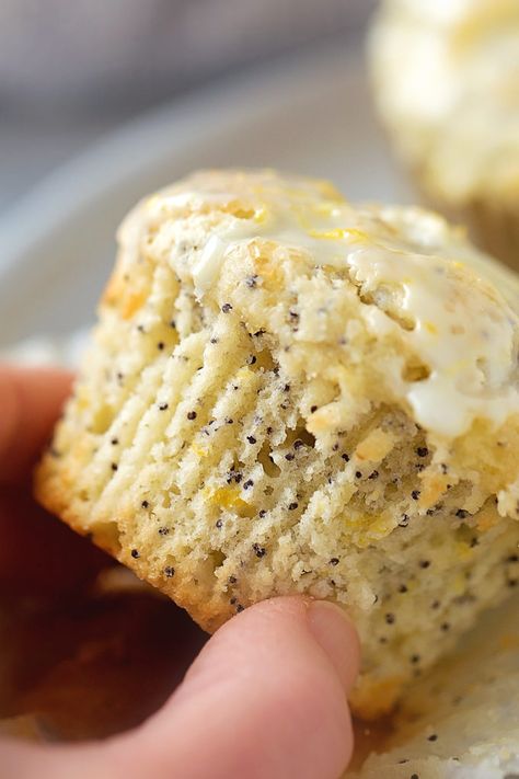 Banana Zucchini Muffins, Fluffy Muffins, Poppyseed Muffins, Lemon Poppy Seed Muffins, Seed Muffins, Bakery Style Muffins, Moist Muffins, Poppy Seed Muffins, I Am Baker