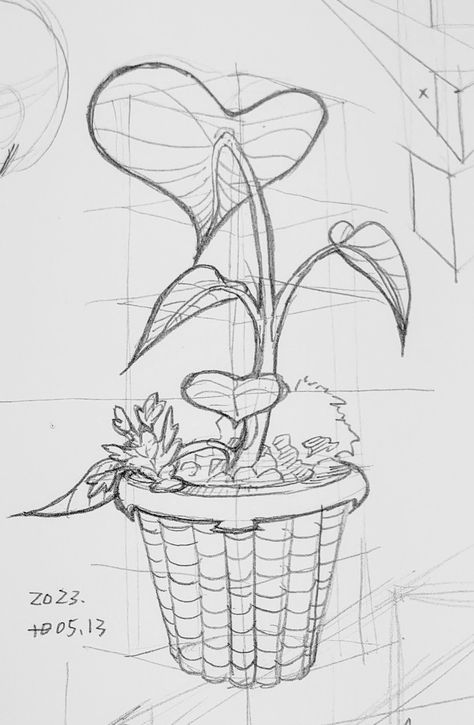 #perspective #practice #plantdrawing Plant Perspective Drawing, How To Draw Flowers In Perspective, Flower Perspective Drawing, Flower Perspective, Perspective Practice, 3 Point Perspective, Plant Sketches, Drawing Things, One Point Perspective