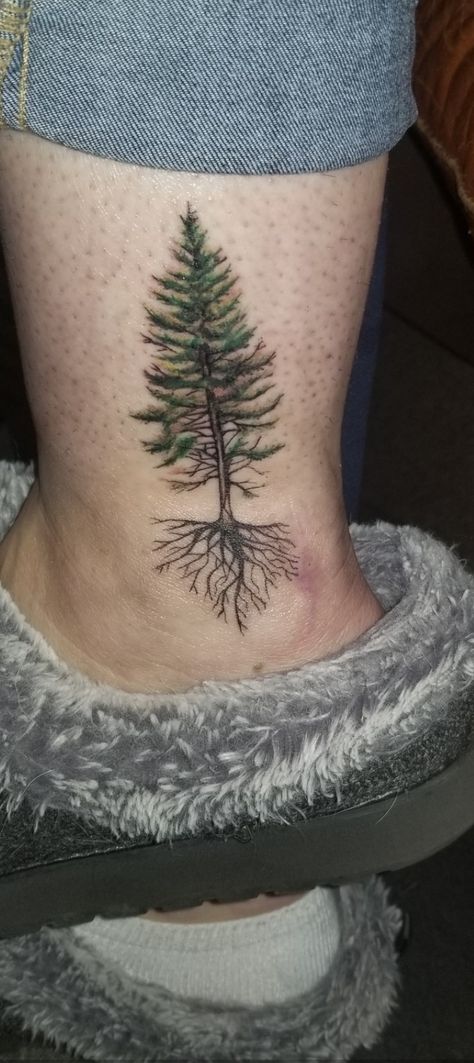 Evergreen State Tattoo, Tree Tattoo Green, Evergreen Tattoo, Evergreen Tree Tattoo, Tree Roots Tattoo, Lake Tattoo, Jack Tattoo, State Tattoos, Roots Tattoo