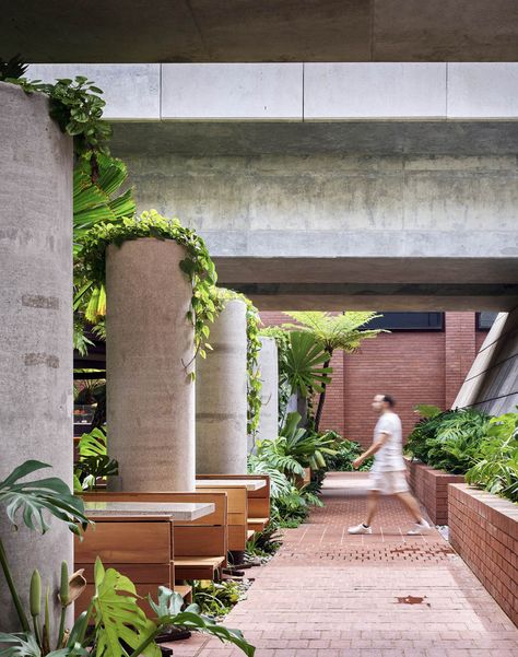 Flowering Creepers, Australia Landscape, Urban Heat Island, Construction Contractors, Public Seating, Dappled Light, Public Realm, Urban Park, Architecture Awards