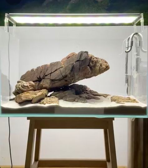 Aquarium Hardscape Ideas, Rolex History, Biotope Aquarium, Aquarium Garden, Aquascape Design, Aquatic Garden, Otters Cute, Aquarium Landscape, Aquarium Ideas