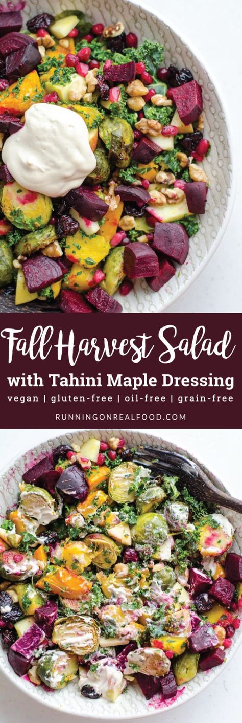 Fall Ingredients, Fall Harvest Salad, Maple Dressing, Harvest Salad, Autumn Salad, Tahini Dressing, Vegan Salad, Healthy Salads, Tortellini