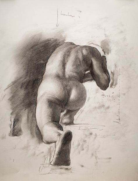 Figure Drawing Professor: Shane Wolf Shane Wolf, Sketches Male, Academic Drawing, Form Drawing, Nude Artwork, Master Drawing, Human Figure Drawing, Figure Sketching, Guy Drawing