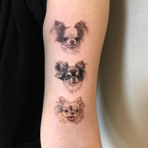 25 Ways To Put Chihuahuas On Your Body Long Haired Chihuahua Tattoo, Long Hair Chihuahua Tattoo, Chihuahua Tattoos, George Tattoo, Bambi Tattoo, Apollo Tattoo, Tatoo Dog, Psy Chihuahua, Chihuahua Tattoo