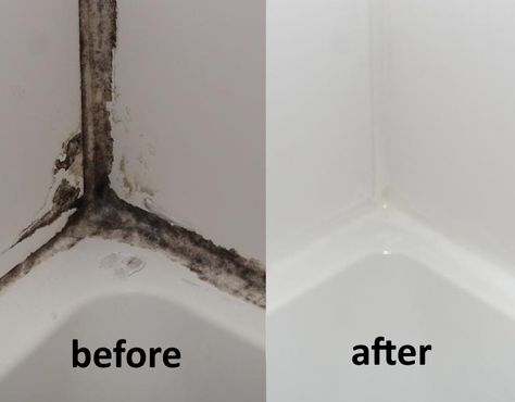 Black Mold In Shower, Cleaning Shower Mold, Cleaning Floor Grout, Remove Mold From Shower, Clean Black Mold, Bathtub Caulking, Bathroom Caulk, Cleaning Shower Tiles, Shower Mold