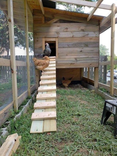 Easy Chicken Coop With Run, Pallet Chicken Coop Ideas Diy, Chicken Run Out Of Dog Kennel, Simple Large Chicken Coop, Amazon Chicken Coop, Chicken Coop Sloped Yard, Slanted Roof Chicken Coop, 6 Chicken Coop Plans, Chicken Coop Ramp Ideas