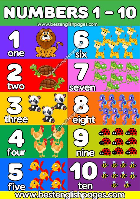 This is an educational poster that we have designed with beautiful engaging colors and graphic elements. It can be used with toddlers, kids, and preschoolers for homeschool Kindergarten classrooms. You can download this poster of numbers 1-10 for FREE. Kindergarten Math Worksheets Printables, Kindergarden Math, Counting Chart, Numbers Preschool Printables, English Classroom Posters, Kids Counting, Preschool Worksheets Free Printables, Preschool Charts, Number Worksheets Kindergarten