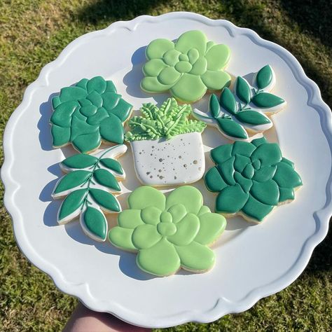 Succulent Decorated Cookies, Succulent Sugar Cookies, Succulent Cookies, Pot Cookies, Grad Party Decorations, Shower Cookies, Cookie Frosting, Baby Shower Cookies, 11th Birthday