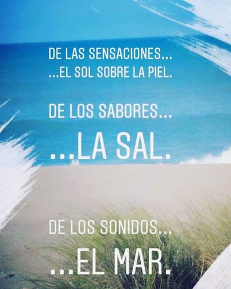 Rocas Mar del Sur on Instagram: "#mardelsur #mardelsud #complejorocasnegras #beach #playa #playamiramar #sea #mar #oceano #ocean #frases #vacaciones #costa #mare #mer #argentina" Playa Quotes, Beachy Quotes, Beach Quotes, Round The World, Good Vibes, Koi, Surfing, On Instagram