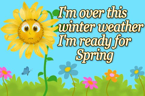 ready for spring picture - Google Search Ready For Spring Quotes, Flower Definitions, Winter Sayings, Spring Season Flowers, Quotes Spring, Spring Vocabulary, Spring Funny, Titus 2, Spring Ahead