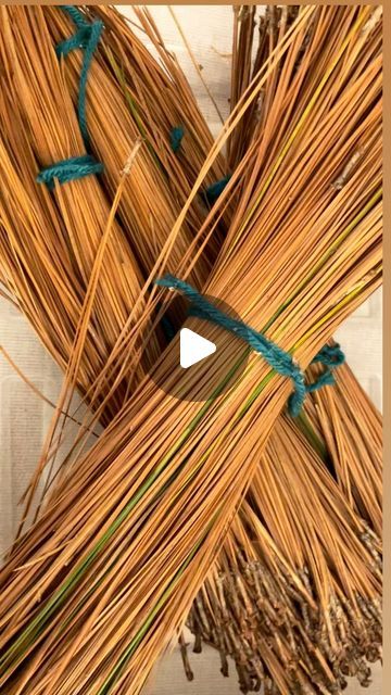 Elizabeth Whelton on Instagram: "Pine Needle Basket Making" Pine Needle Weaving, Pine Needle Crafts, Palm Baskets, Basket Making, Pine Needle Baskets, Weaving Tutorial, Pine Needles, Basket Weaving, Baskets