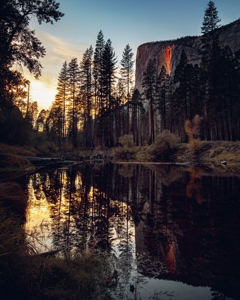 Fall Firefall in October & November (Yosemite National Park) — Flying Dawn Marie | Travel blog, guides & itineraries for adventurous travellers Yosemite National Park Aesthetic, Camping Yosemite, Horsetail Falls, Dawn Marie, Yosemite Camping, Merced River, Sunset Light, Yosemite Valley, Natural Phenomena