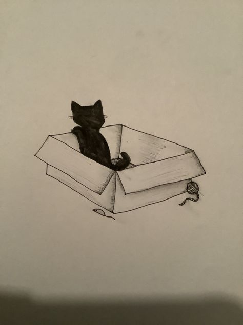 A cat. A box. A paper. (Sketchbook postings) Cat In Box Drawing, Cat In A Box Drawing, Box Drawing, Spanish Books, Cat Box, Packing Design, Sketchbook Art, Carton Box, Cat Playing