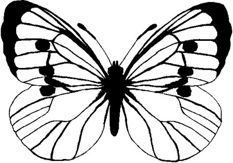 580 views Butterfly Line Drawing, Borboleta Tattoo, Butterfly Project, Disney Princess Coloring Pages, Butterfly Template, Butterfly Printable, Butterfly Drawing, Butterfly Crafts, Butterfly Wallpaper