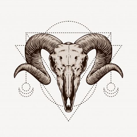 Ram Skull Tattoo Traditional, Mountain Goat Skull Tattoo, Ramskull Tattoo Design, Ram Skull Art, Ram Horns Tattoo, Ram Skull Tattoo Design, Mountain Goat Skull, Ram Skull Drawing, Ram Skull Tattoo