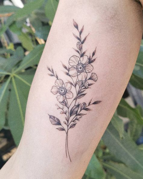 Pei on Instagram: “Manuka plant!! Thank you for trusting me with your first tattoo hehe ❤️🙏🙏” Manuka Flower Tattoo, Manuka Tattoo, Nz Tattoo, Love Music Tattoo, Manuka Plant, Manuka Flower, 2023 Tattoo, Tiny Flower Tattoos, Suit Inspiration