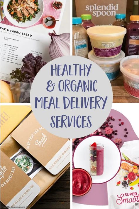 Splendid Spoon, Smoothie Kits, Food Delivery Packaging, Mold Prevention, Meal Kit Delivery Service, Dragon Fruit Smoothie, Green Chef, Fresh Smoothies, Healthy Meal Delivery Service