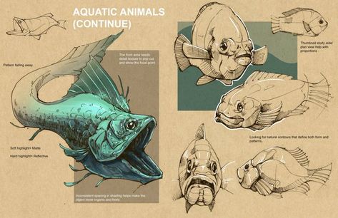 Peter Han, Kim Jung Gi, Industrial Design Sketch, Fish Drawings, Creature Concept Art, Animal Sketches, Anatomy Art, Fish Art, Creature Design