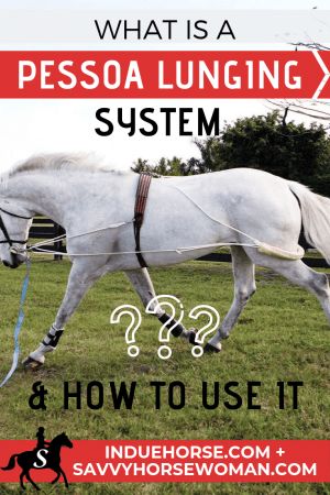 What is a Pessoa Lunging System and How to Use It - Savvy Horsewoman Equestrian Tips, Equestrian Fitness, Horse Hacks, Horse Ownership, Horse Breeding, Horse Movies, Chicken Keeping, Horse Exercises, Equestrian Helmets