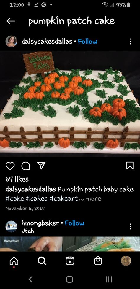 Pumpkin Birthday Sheet Cake, Pumpkin Theme Sheet Cake, Fall Theme Cake Ideas, Fall Sheet Cake, Fall Cake Decorating Ideas, Fall Theme Cakes, Dessert Auction, Fall Themed Desserts, Pumpkin Patch Cake