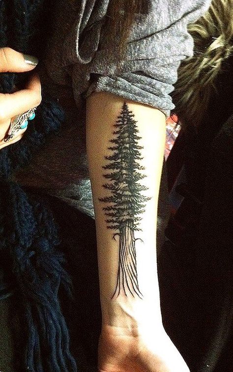 Giant Pine. tree tattoos ... Tattoo Trees, Tree Tattoo Arm, Tier Tattoo, Maori Tattoos, Pine Tree Tattoo, Forearm Tattoo Design, Tree Tattoo Designs, Hand Tattoo, Nature Tattoos