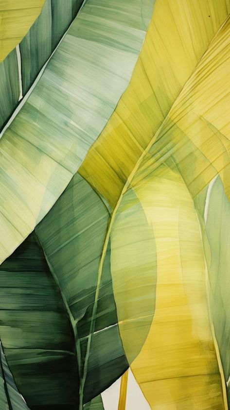 Palm leaves green abstract nature. | free image by rawpixel.com / Tang Wallpaper Tenis, Tropical Backgrounds, Iphone Wallpaper Tropical, Camoflauge Wallpaper, Tropical Prints Pattern, Wallpapers Abstract, Palm Leaf Art, Nice Designs, Android Phone Wallpaper