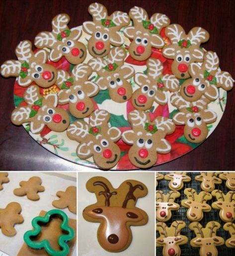 DIY Cute Reindeer Cookies Recipe for Christmas Treat Video Gingerbread Reindeer, Deco Fruit, Amazing Food Hacks, Cookies Gingerbread, Reindeer Cookies, Man Cookies, Gingerbread Man Cookies, Frozen Pizza, Christmas Cookies Decorated