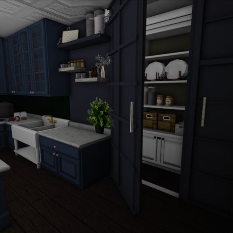 Navy Blue Kitchen + Pantry Idea