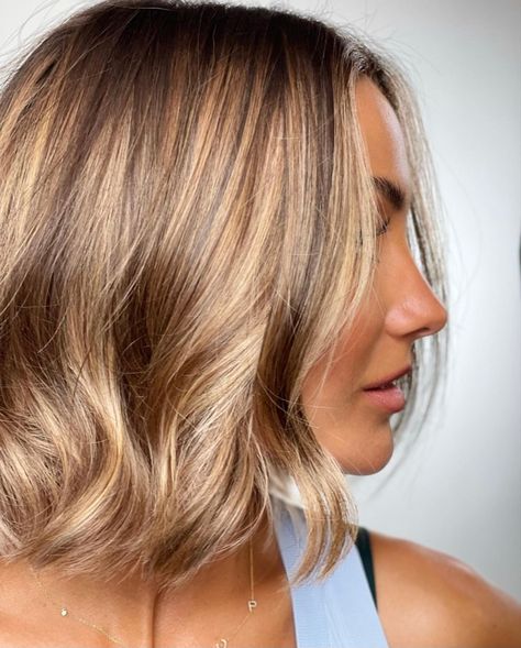 Golden Brown Bob Haircut, Hazelnut Hair Color Brown With Highlights, Frankie Bridge Hair Bob, Frankie Bridge Hair 2023, Bronde Bob Balayage, Caramel Bob Hair, Bronze Blonde Hair, Bronde Balayage Bob, Honey Brown Bob