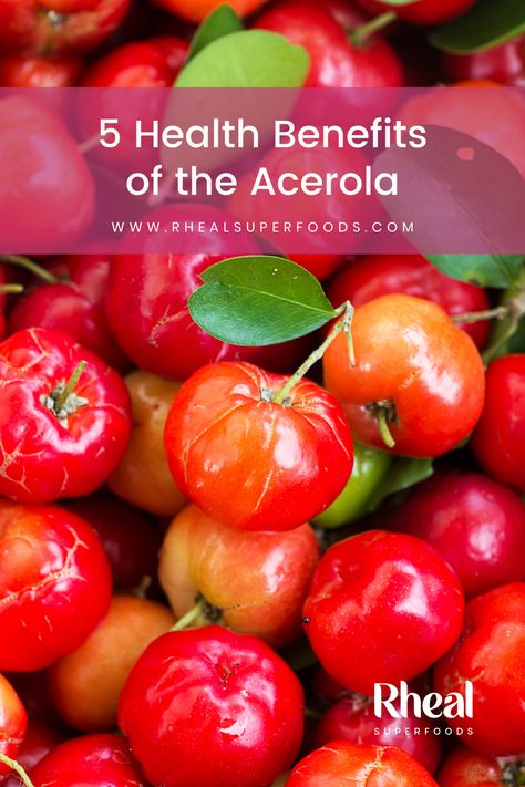 The Acerola Cherry is a fruit renowned for its uniquely high Vitamin C content, which helps to boost immune function and support healthy hair, skin and nails. Also packed with phytonutrients and brimming with other antioxidants, there are plenty of reasons to make Acerola part of your daily routine. Acerola Cherry Benefits, Health Benefits Of Cherries, Acerola Cherry, Hair Skin And Nails, Juice Plus, Homeopathic Remedies, Workout Pictures, Vegan Foods, Daily Diet