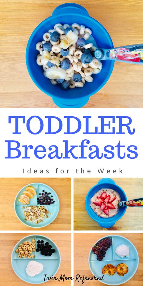 Easy Toddler Breakfast, Toddler Breakfast Ideas, Healthy Toddler Breakfast, Easy Toddler Meals, Picky Toddler, Toddler Breakfast, Twin Toddlers, Toddler Lunches, Healthy Toddler Meals