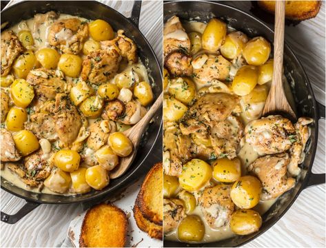 40 Cloves Of Garlic Chicken Ina Garten, Roast Chicken With 40 Cloves Of Garlic, 30 Clove Garlic Chicken, 40 Garlic Clove Chicken, 40 Clove Garlic Chicken, Spicy Chicken Tacos, Spicy Baked Chicken, Chicken Recipies, Cream Sauce Recipes