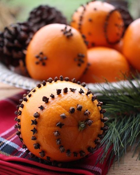 Orange With Cloves Christmas Decorations, Oranges And Cloves Decoration, Clove Oranges, Orange And Cloves, Christmas Eve Candlelight Service, Scream Christmas, Orange Pomanders, Cottage Winter, Cooking Decor