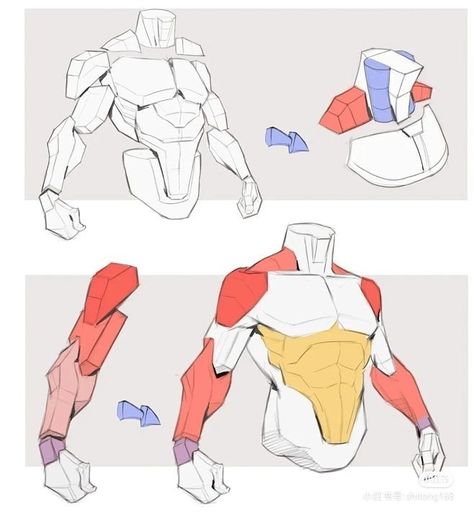 Man Anatomy, Anatomy Tutorial, Human Anatomy Drawing, Body Drawing Tutorial, Human Anatomy Art, Anatomy Sketches, Anatomy Poses, Anatomy For Artists, Body Reference Drawing