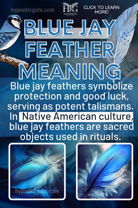 Blue Jay Feather meaning Spiritual Meaning Of Blue Jays, Blue Jay Spiritual Meaning, Blue Jay Feather Meaning, Flying Blue Jay, Feather Magic, Jennifer Anderson, Blue Jay Feather, Meaning Of Blue, Feather Meaning