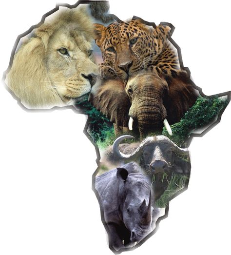 Hunt the big five: lion, cheetah, elephant,cape buffalo, and rhino...better start saving $$$$$$$ Africa Tattoos, The Big Five, African Tattoo, Afrique Art, Africa Do Sul, Africa Safari, Out Of Africa, Africa Art, Africa Map