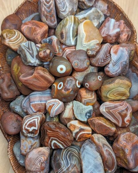 2024 Michigan Rock Hounding Guide: Petoskey Stones, Agates, Yooperlites, & More Rock Hounding Wisconsin, Michigan Rocks Hunting, Petoskey Stone Crafts, Pebble Projects, Pebble Shore Lake, Rock Tumbler Diy, Michigan Aesthetic, Petosky Stone, Lake Michigan Stones